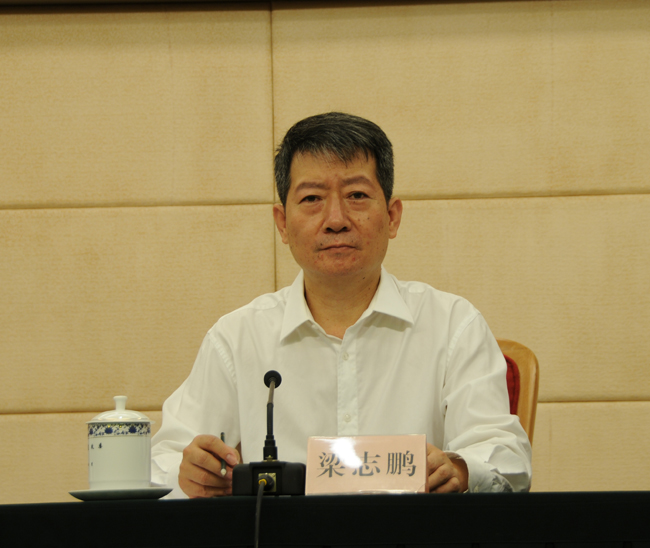 梁志鵬:可再生能源發(fā)電規(guī)模持續(xù)擴大 風電和光伏發(fā)電消納形勢持續(xù)好轉